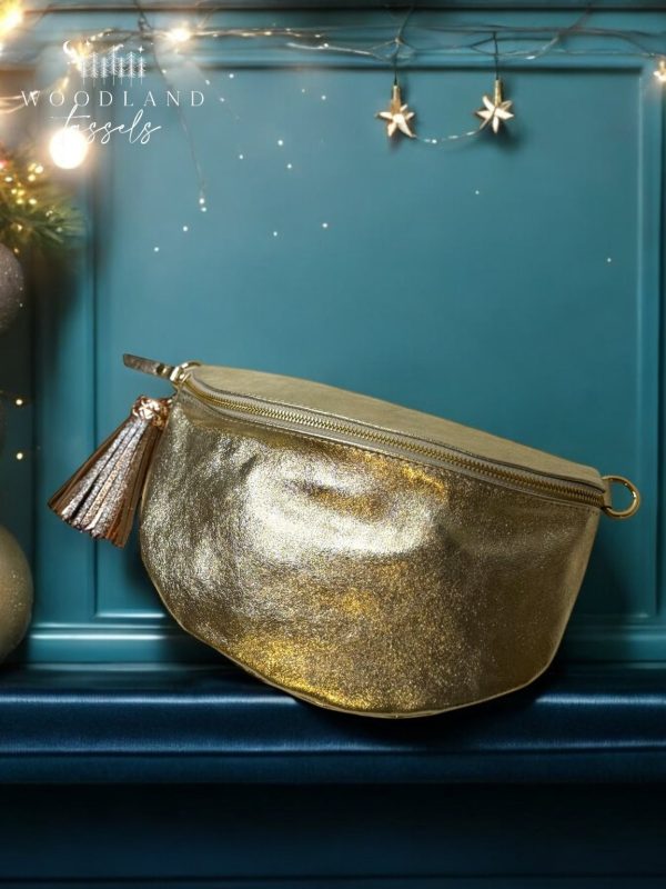 Product Image for  Vera Leather Metallic Sling Bag